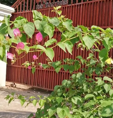 La Maison Des Bambous Siem Reap